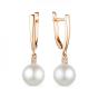Золотые серьги с жемчугом и фианитом DEFLEUR 32609AP1 Золотые серьги с жемчугом и фианитом DEFLEUR 32609AP1